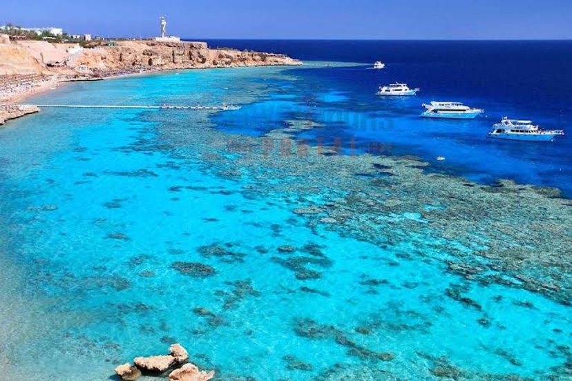 6 Days Cairo & Sharm El Sheikh Holiday | Pyramids, Red Sea & Desert Escape 4