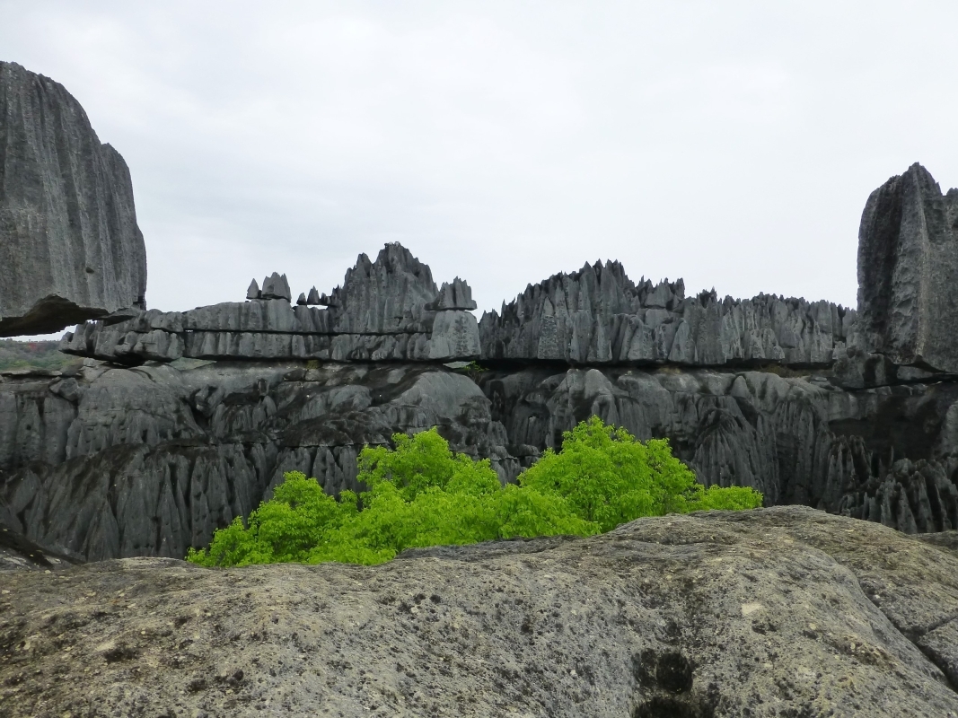 Madagascar 4-Day Private Tour: Bemaraha Tsingy, Avenue of the Baobabs & Kirindy Forest 1