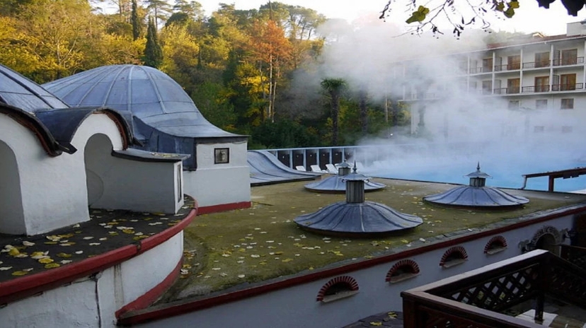 Daily Yalova Thermal Tour from Istanbul – Hot Springs & Nature Escape 3