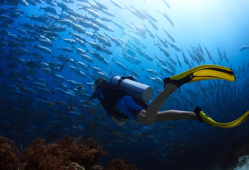 Daily Alanya Diving in the Mediterranean Sea Tour 4