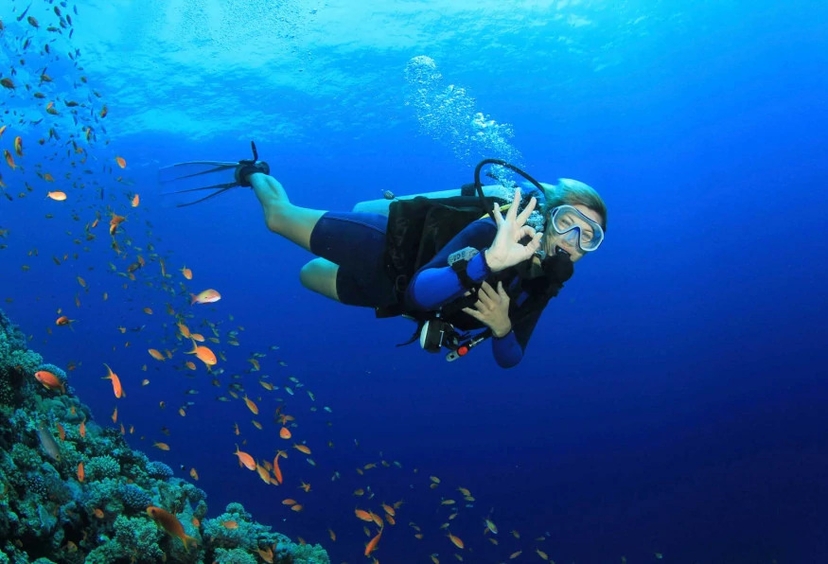 Daily Scuba Diving Tour from Belek 2