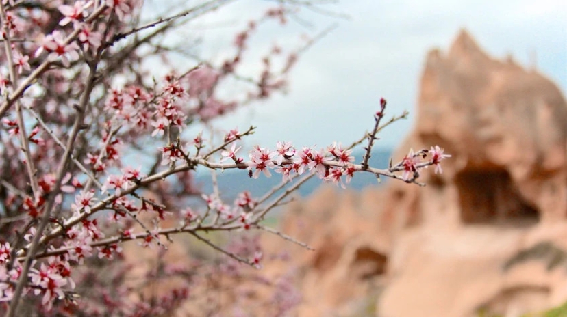 Daily Photo Safari Cappadocia Tour from Kayseri 3