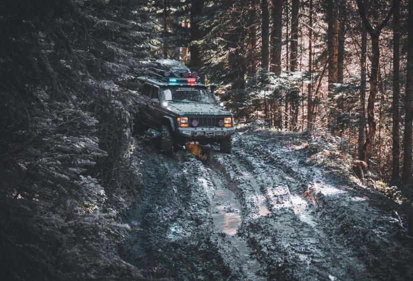 Daily Yenice Forest Nature Tour 4