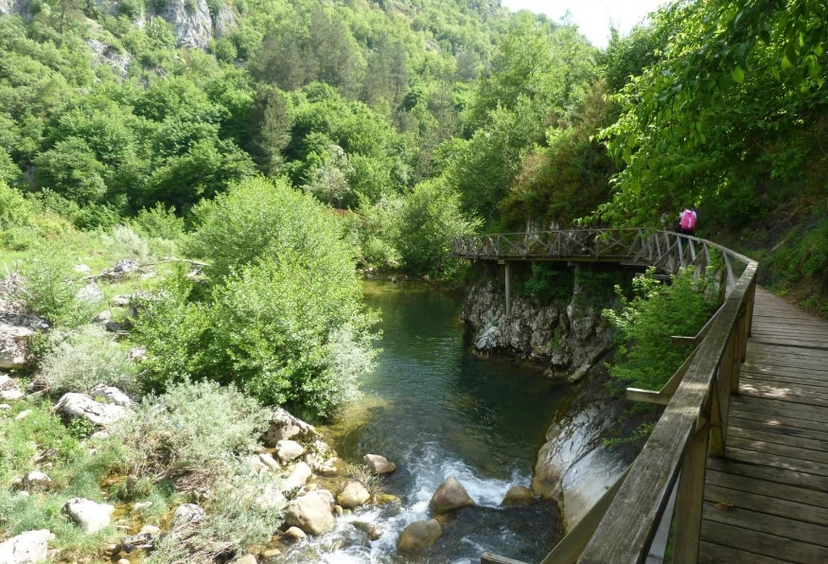 Daily Ilgaz Mountains Tour 4