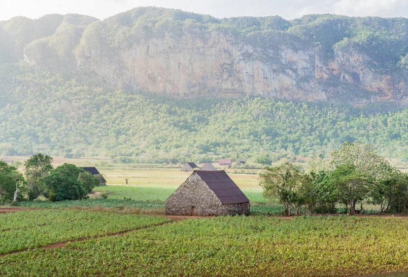 10 Days Relaxed Through Havana West & Central Cuba 4