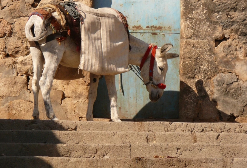 6 Days Mardin City & Harran Tour 3