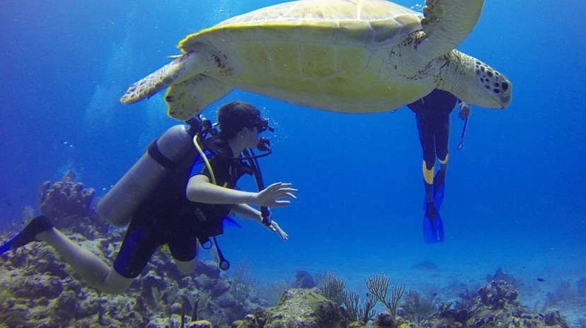 Daily Scuba Diving Tour from Kemer 3