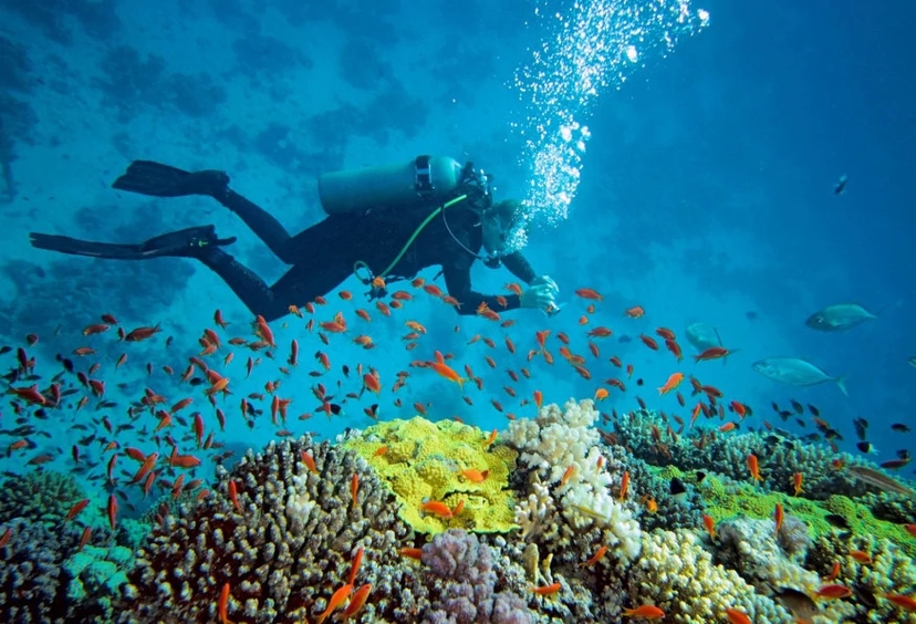 Daily Scuba Diving Tour from Kemer 4