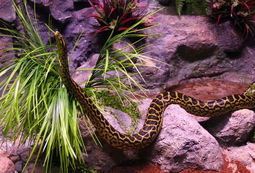 Daily Jungle Park Tour Istanbul – Family Adventure & Wildlife Experience 3