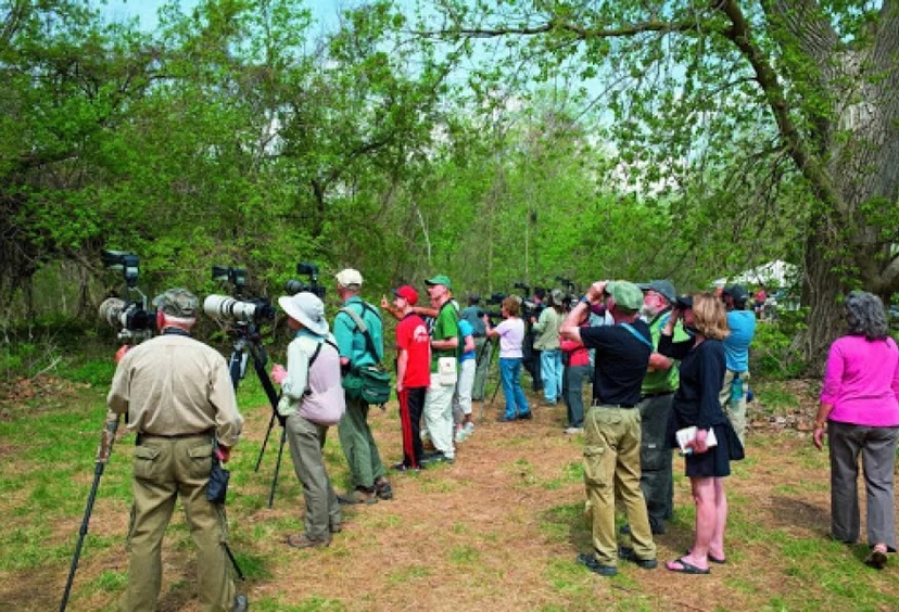 Daily Mersin Bird Watching Tour 3
