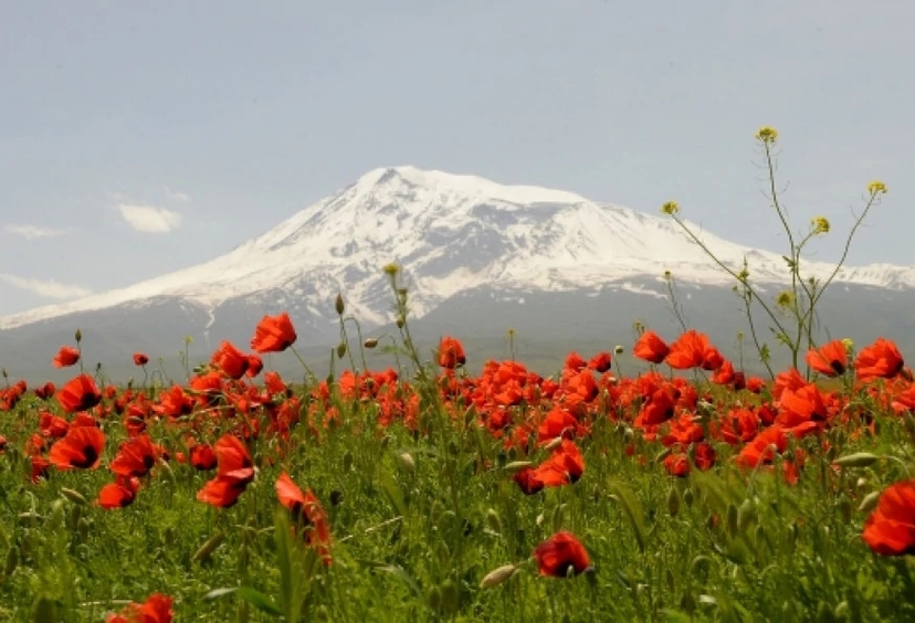 Daily Dogubeyazit City Tour 2