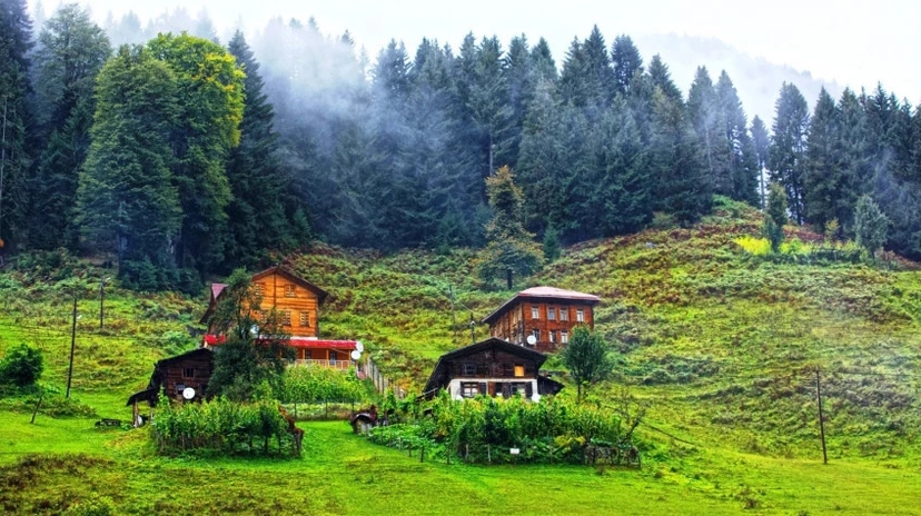 Daily Rize Huser Plateau Tour 4