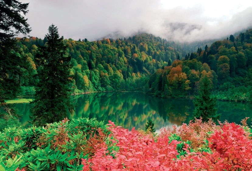 Daily Rize Borcka-Karagol Tour 3