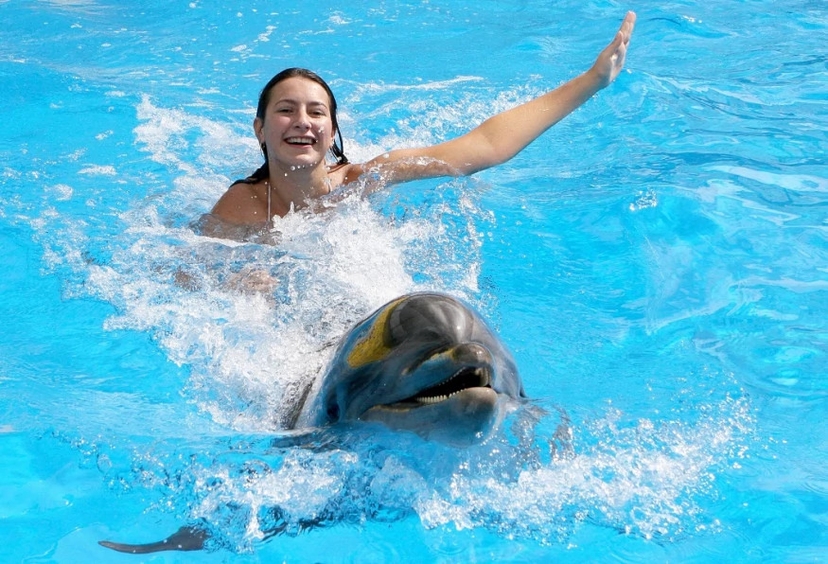 Daily Marmaris Dolphin Show 2
