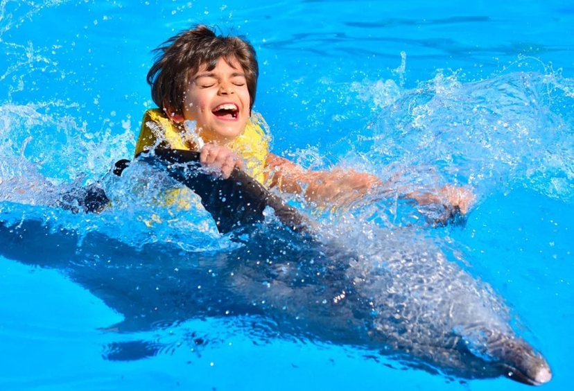 Daily Marmaris Dolphin Show 4
