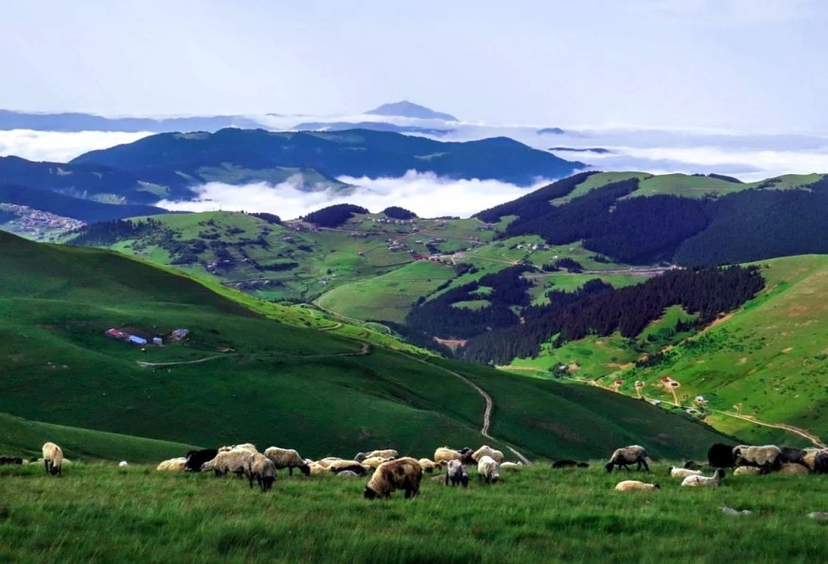 Daily Giresun Kumbet Plateau Tour 2