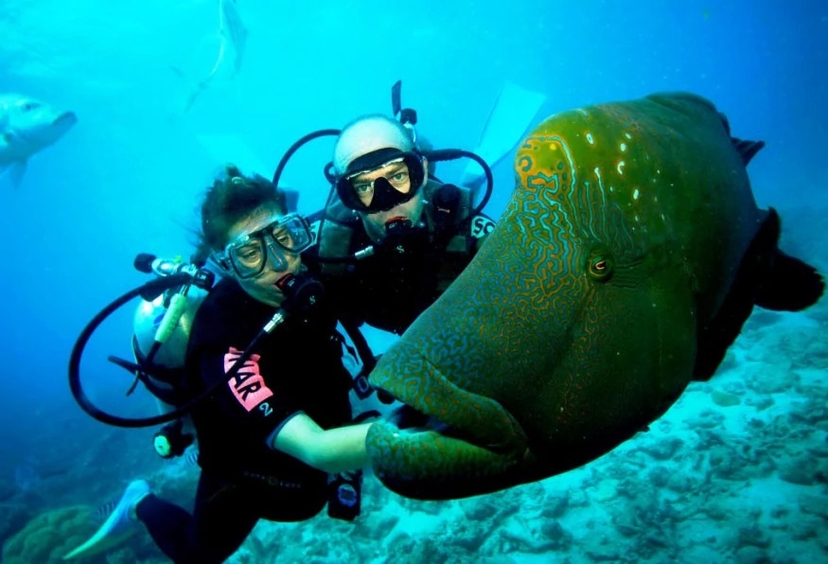 1-Day Cesme Scuba Diving Tour – Explore the Underwater World of the Aegean Sea 2