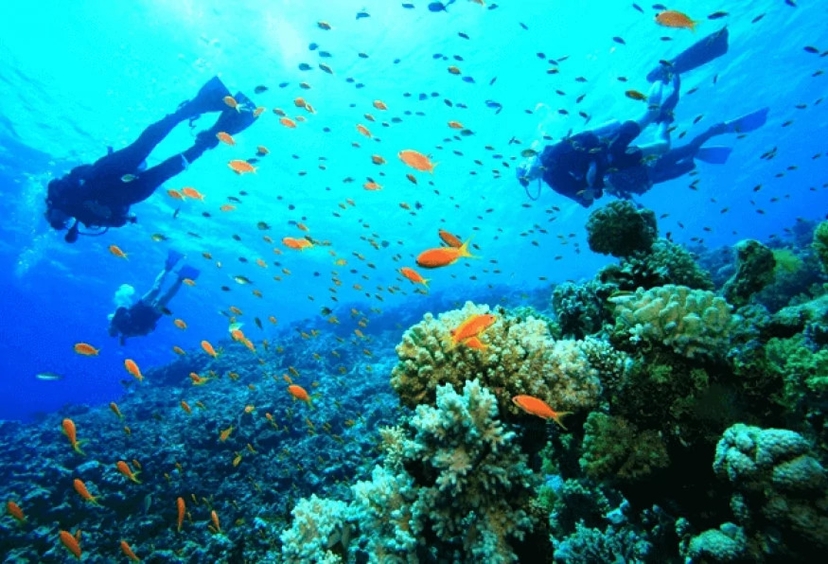 1-Day Cesme Scuba Diving Tour – Explore the Underwater World of the Aegean Sea 4