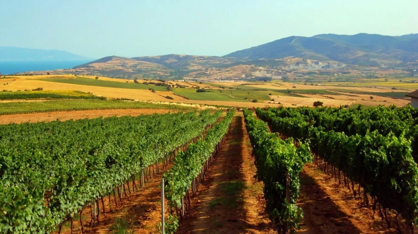 3 Days Tekirdag City Tour 4