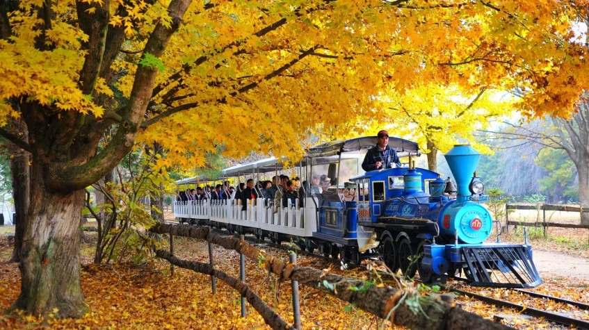 3 Days Seoul City Package Tour from South Korea 1