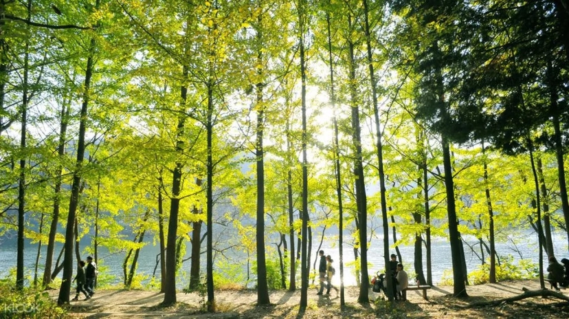 4 Days Seoul City Package Tour from South Korea 4