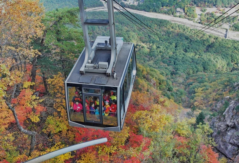 7 Days Seoul City Package Tour from South Korea 4