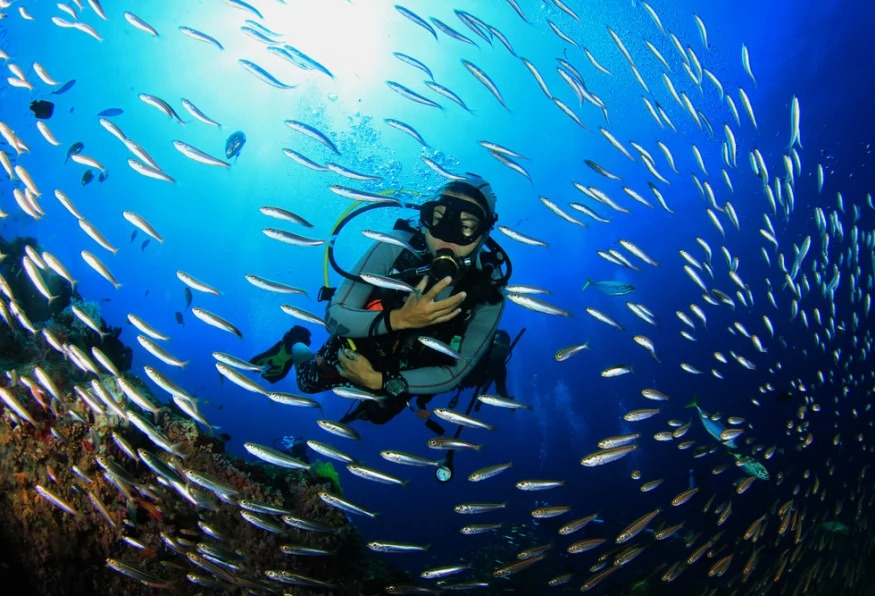 Daily Diving Tour from Mugla 1