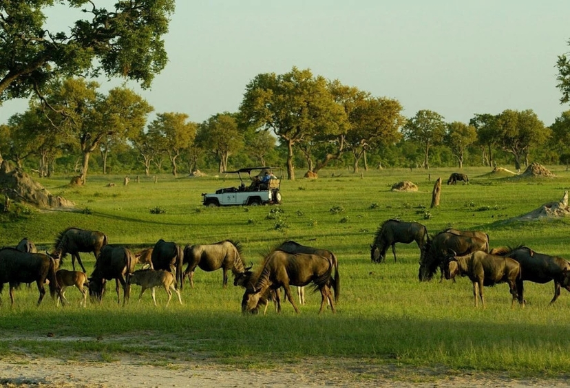 4 Days Sable Valley Lodge Safari Game Drives 4