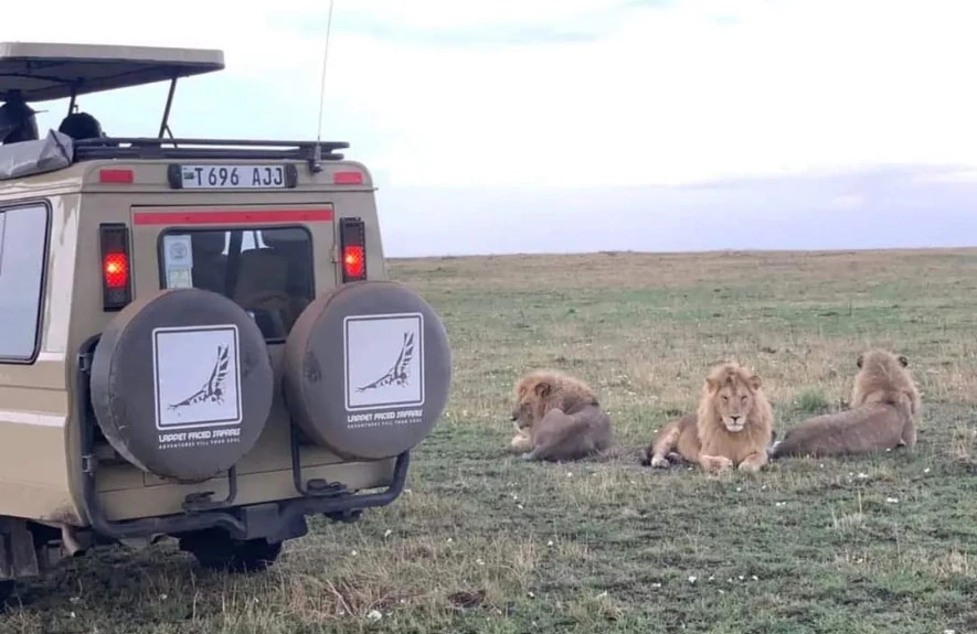 5 Days Lake Manyara, Serengeti and Ngorongoro Crater 1