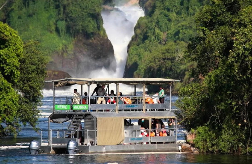 7 Days Gorilla and Wildlife Adventure 1