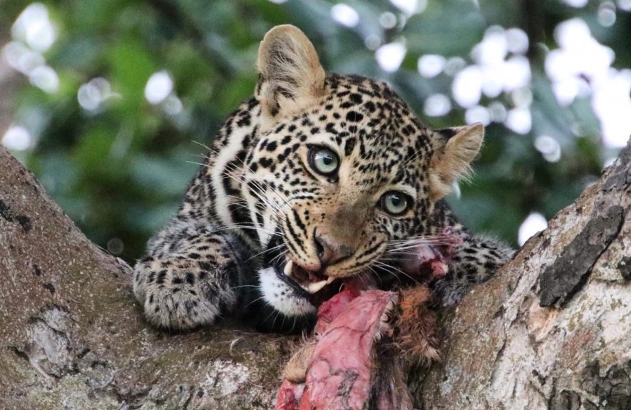 3 Days the Jewels of Tanzania Mid Range 1