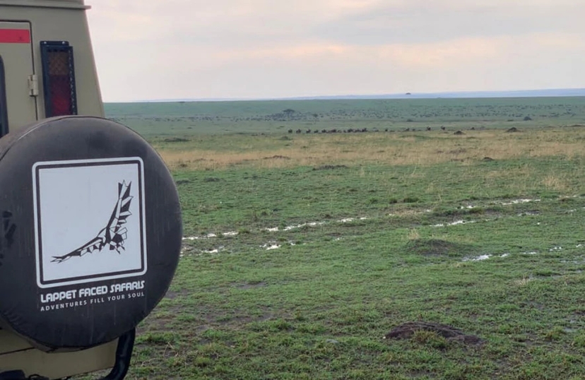 3 Days the Jewels of Tanzania Mid Range 4