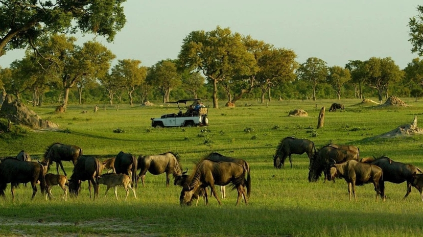 5 Days Tanzania Wildlife Safari 3