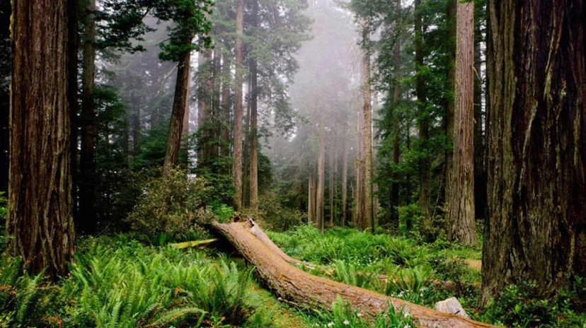 4 Days Igneada Eco Walking Tour 4