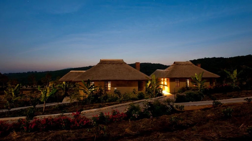 4 Days Northern Tanzania Safari 3