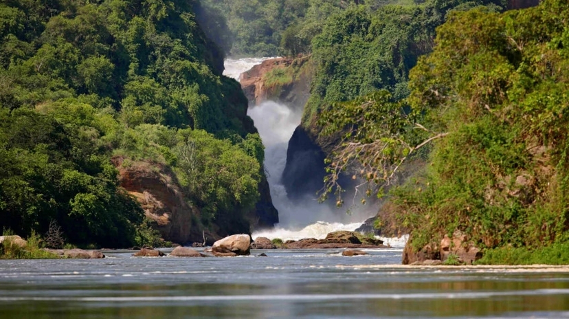 7 Days Gorillas Chimpanzee Trekking Wildlife Safari 4