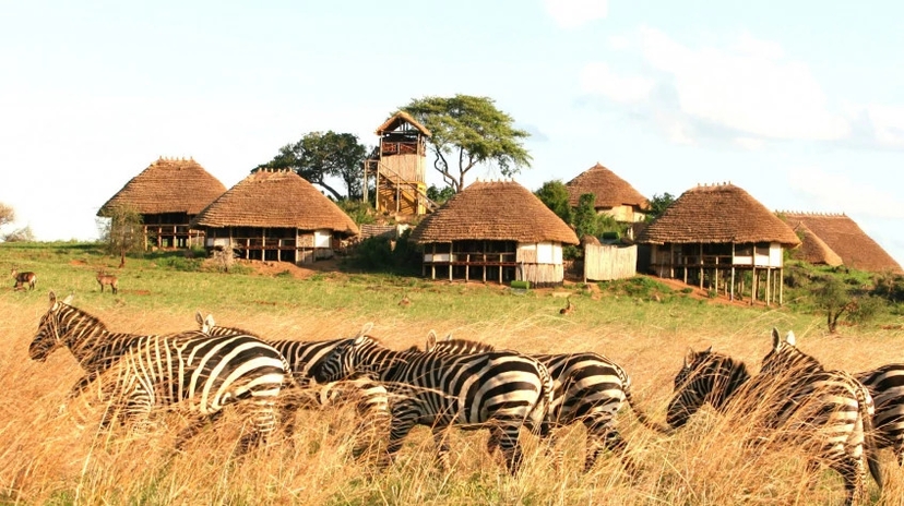16 Days Wild Uganda Safari 3