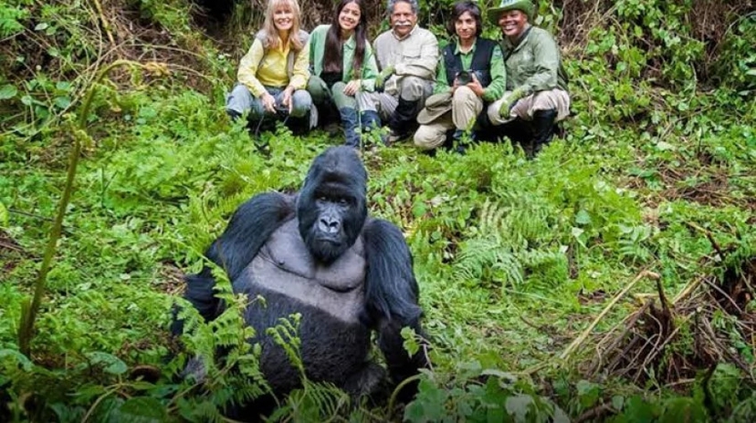 4 Days Gorillas and Lake Bunyonyi Safari 3