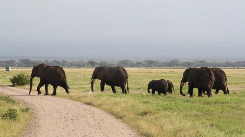 3 Days Samburu Kenya Adventure Safaris 1