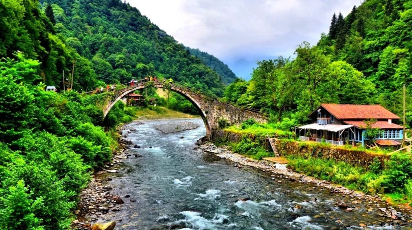 Daily Rize Pokut Plateau Tour 4