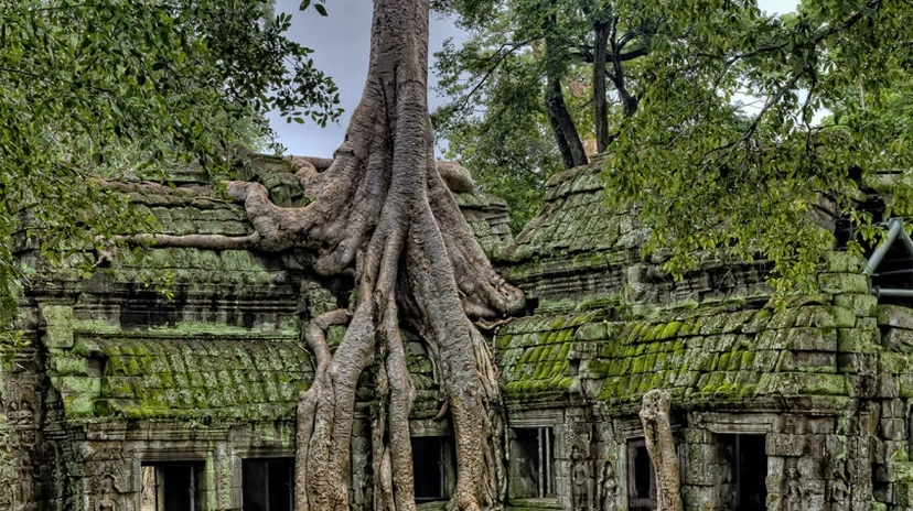 Angkor Sunrise Tour 3