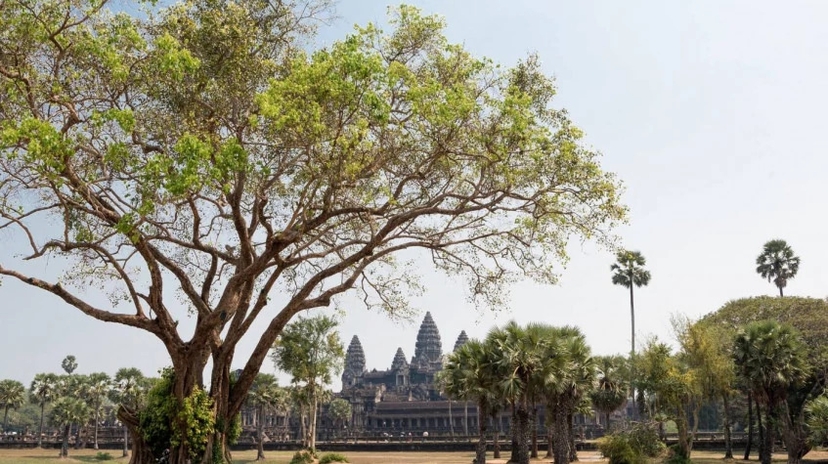 Angkor Sunrise Tour 4