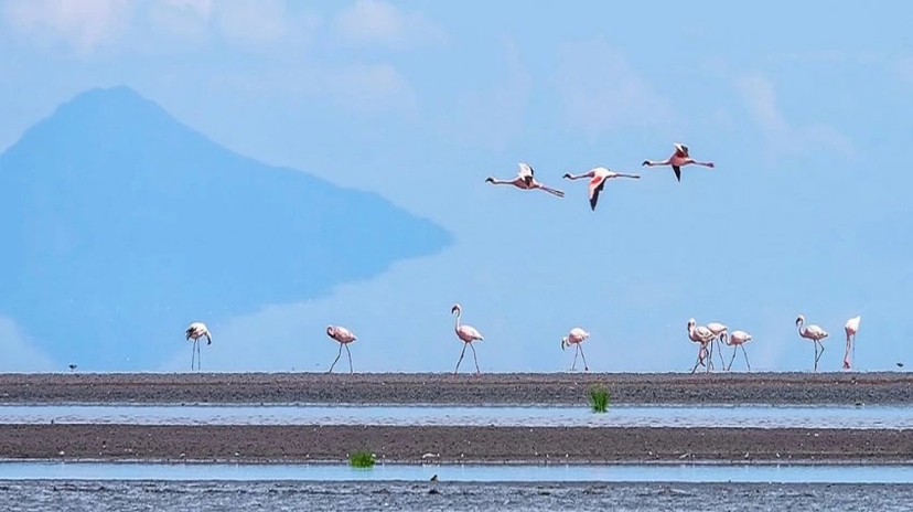 Safari in Tarangire, Lake Natron and Ngorongoro 4