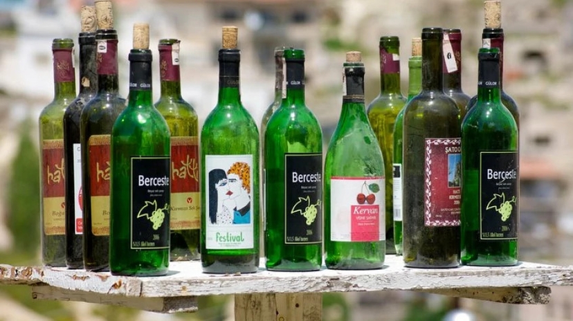 Cappadocia Grape Harvesting Tour from Kayseri 3