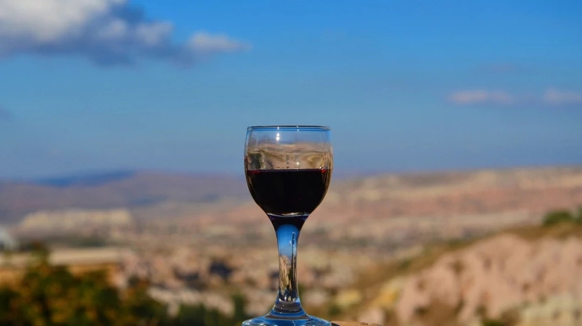 Cappadocia Grape Harvesting Tour from Kayseri 4