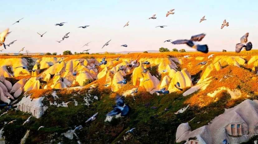 Daily Cappadocia Photo Safari Tour – Explore Panoramic Viewpoints & Iconic Landscapes 3