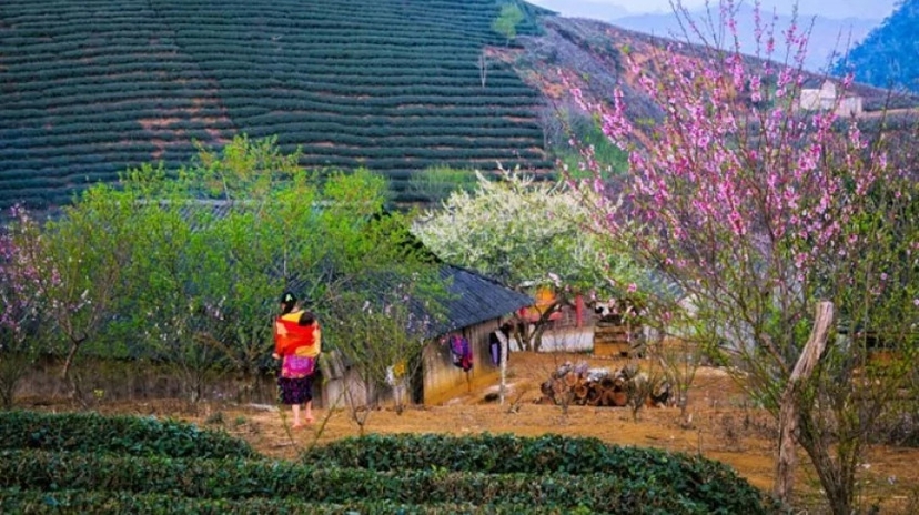 6 Days the North West Loop of Vietnam Tour 3