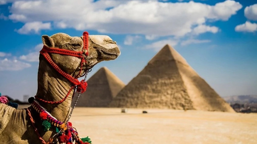 Pharaohs and Beaches Family Tour 2