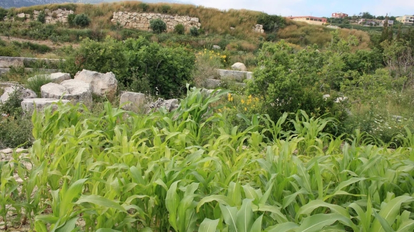 Daily Hatay Samandag Tour 3