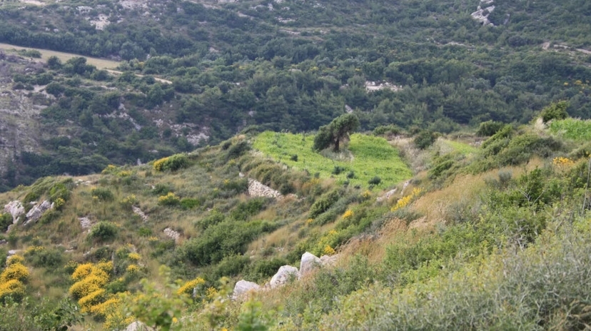Daily Hatay Samandag Tour 4